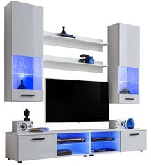 Svetainės baldai su 2 TV spintelėmis, 2 sieniniais blokais ir 2 lentynomis, Sekcija, Extreme Furniture, Vida, Baltas karkasas ir balti priekiai kaina ir informacija | Sekcijos | pigu.lt