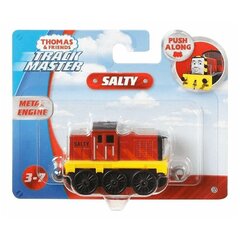 Traukinys Fisher Price Thomas & Friends TrackMaster Salty, 1 vnt. kaina ir informacija | Žaislai berniukams | pigu.lt