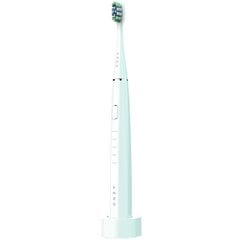 Aeno DB1S цена и информация | Электрические зубные щетки | pigu.lt