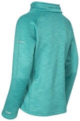 Džemperis mergaitėms Celina, FCFLFLO10001 kaina ir informacija | Megztiniai, bluzonai, švarkai mergaitėms | pigu.lt