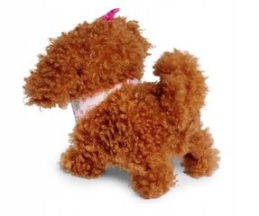 Interaktyvus Chi Chi Love šuniukas vaikšto, loja ir vizgina uodegą kaina ir informacija | Minkšti (pliušiniai) žaislai | pigu.lt