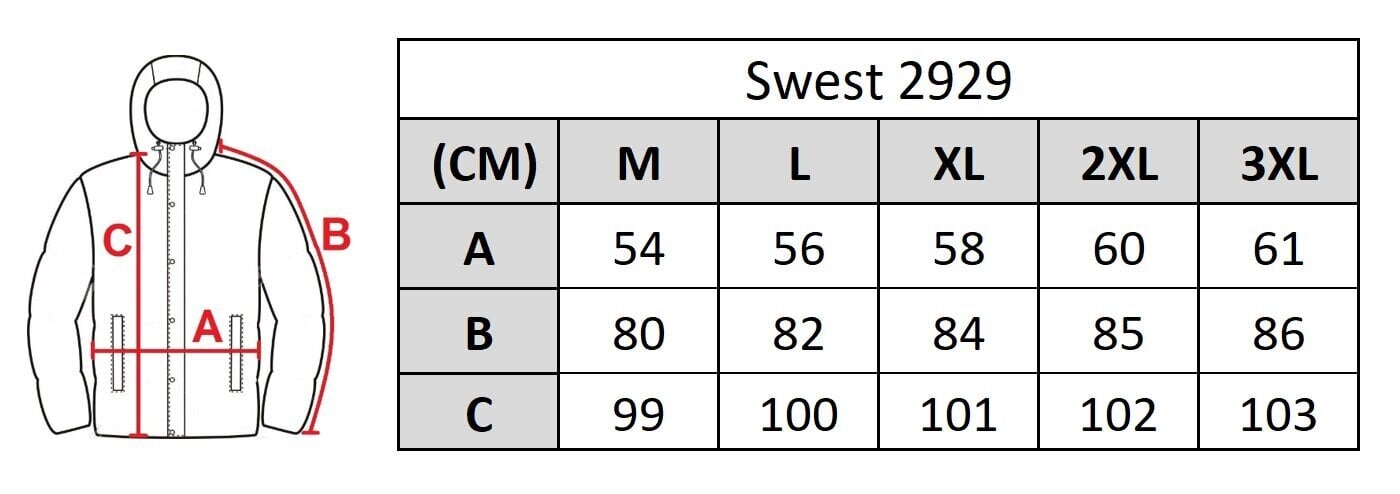 Vyriška Swest striukė 2929 kaina ir informacija | Vyriškos striukės | pigu.lt