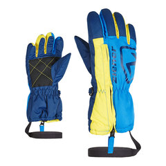 Детские горнолыжные перчатки ZIENER LEO 801980-798-98 цена и информация | Аксессуары для детей | pigu.lt
