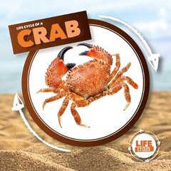 Crab цена и информация | Книги для подростков  | pigu.lt