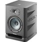 Focal Alpha Evo 50 kaina ir informacija | Garso kolonėlės | pigu.lt