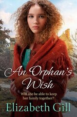 Orphan's Wish kaina ir informacija | Fantastinės, mistinės knygos | pigu.lt