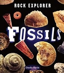 Rock Explorer: Fossils kaina ir informacija | Knygos paaugliams ir jaunimui | pigu.lt