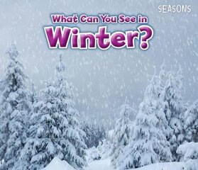 What Can You See In Winter? kaina ir informacija | Knygos mažiesiems | pigu.lt