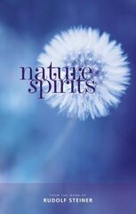 Nature Spirits kaina ir informacija | Dvasinės knygos | pigu.lt