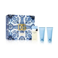 Rinkinys Dolce & Gabbana Light Blue Pour Femme moterims: kūno losjonas, 50 ml + dušo želė, 50 ml + tualetinis vanduo EDT, 50 ml kaina ir informacija | Kvepalai moterims | pigu.lt