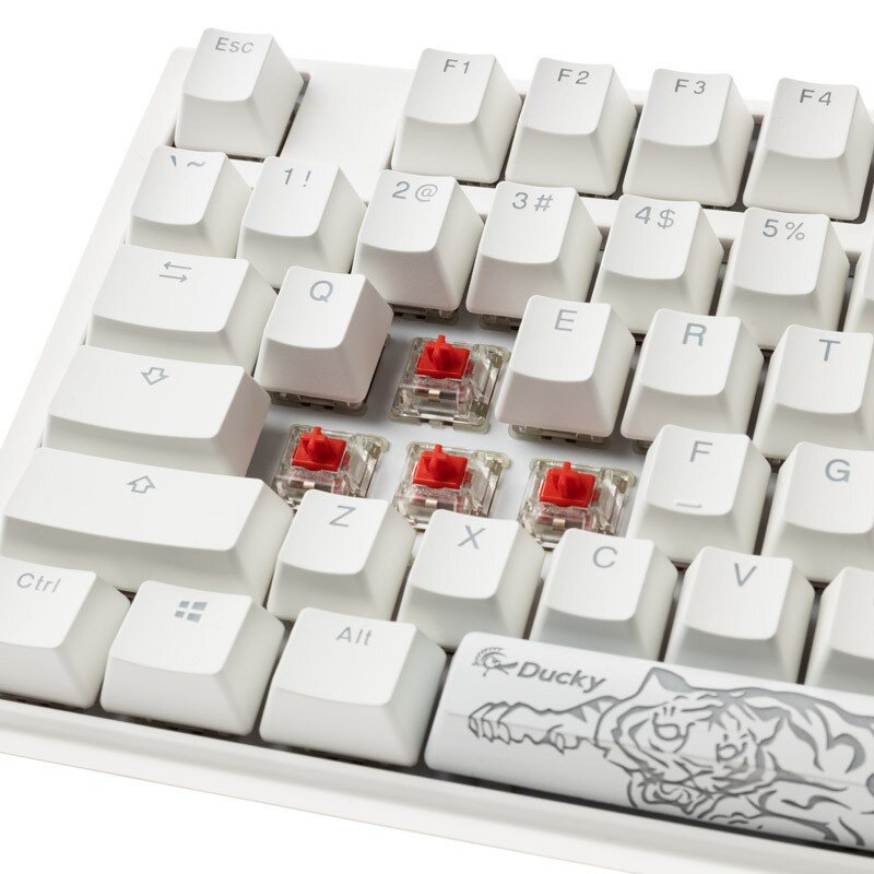 Ducky ONE 3 Classic TKL RGB US MX Red Switch kaina ir informacija | Klaviatūros | pigu.lt