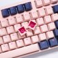 Ducky One 3 Fuji RGB kaina ir informacija | Klaviatūros | pigu.lt