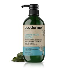Švelnus šampūnas Ecoderma, 500 ml kaina ir informacija | Šampūnai | pigu.lt