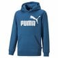 Džemperis vaikams Puma S6456918 цена и информация | Megztiniai, bluzonai, švarkai berniukams | pigu.lt