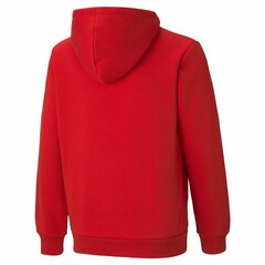Детская толстовка Puma Красный цена и информация | Свитеры, жилетки, пиджаки для мальчиков | pigu.lt