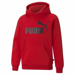 Детская толстовка Puma Красный цена и информация | Свитеры, жилетки, пиджаки для мальчиков | pigu.lt