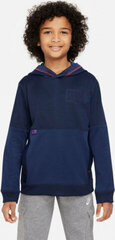 Bliuzonas berniukams Nike, mėlynas kaina ir informacija | Megztiniai, bluzonai, švarkai berniukams | pigu.lt