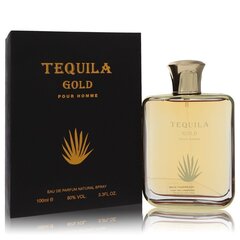 Kvapusis vanduo Tequila Gold Pour Homme EDP vyrams, 100 ml kaina ir informacija | Kvepalai vyrams | pigu.lt