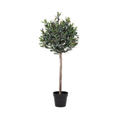 Искусственное растение Оливковое дерево цена и информация | Искусственные цветы | pigu.lt