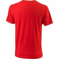 Marškinėliai Wilson Team II Teach, raudoni kaina ir informacija | Wilson Vyrams | pigu.lt