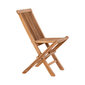 2-ų kėdžių komplektas, Tikmedžio mediena kaina ir informacija | Lauko kėdės, foteliai, pufai | pigu.lt