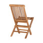 2-ų kėdžių komplektas, Tikmedžio mediena kaina ir informacija | Lauko kėdės, foteliai, pufai | pigu.lt