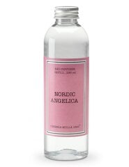 Namų kvapų difuzorius Cereria Nordic angelica 200 ml, papildymas kaina ir informacija | Namų kvapai | pigu.lt