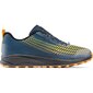Žygio batai vyrams Icebug Haze Men's RB9X GTX, mėlyni kaina ir informacija | Vyriški batai | pigu.lt