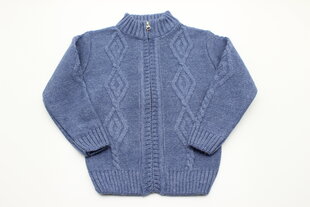 Megztiniai berniukams su užtrauktuku kaina ir informacija | Megztiniai, bluzonai, švarkai berniukams | pigu.lt