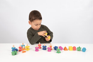Радужный деревянный набор для развития моторики "Гаики и болты" цена и информация | Развивающие игрушки | pigu.lt