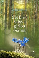 Stebint žalsvą girios ošimą kaina ir informacija | Romanai | pigu.lt