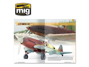 AMMO MIG - THE MODELING GUIDE FOR RUST AND OXIDATION, 6098 kaina ir informacija | Knygos paaugliams ir jaunimui | pigu.lt