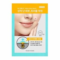 Средство для кожи с акне Holika Holika Ac Mild Yellow Spot цена и информация | Маски для лица, патчи для глаз | pigu.lt