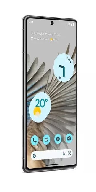 Google Pixel 7 Pro 5G 12/128GB GA03463-GB White цена и информация | Mobilieji telefonai | pigu.lt