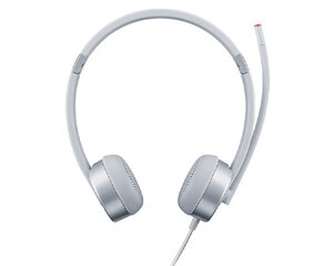 Lenovo Headphones kaina ir informacija | Ausinės | pigu.lt