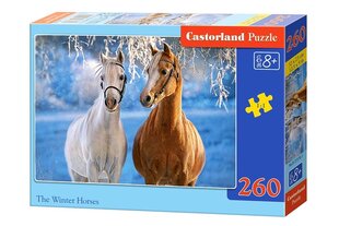 Пазл Castorland The Winter Horses, 260 шт. цена и информация | Пазлы | pigu.lt