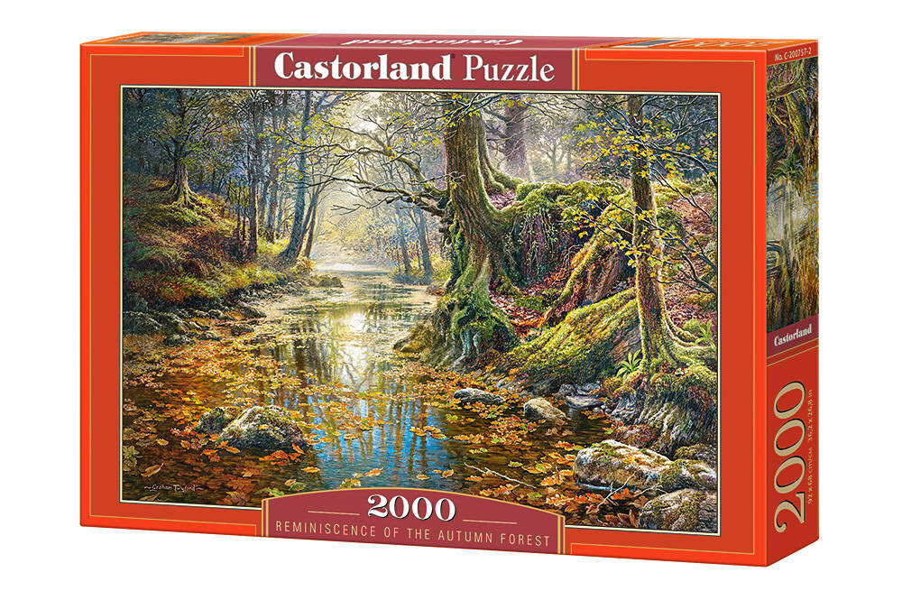 Dėlionė Castorland Reminiscence of the Autumn Forest, 2000 dalių kaina ir informacija | Dėlionės (puzzle) | pigu.lt