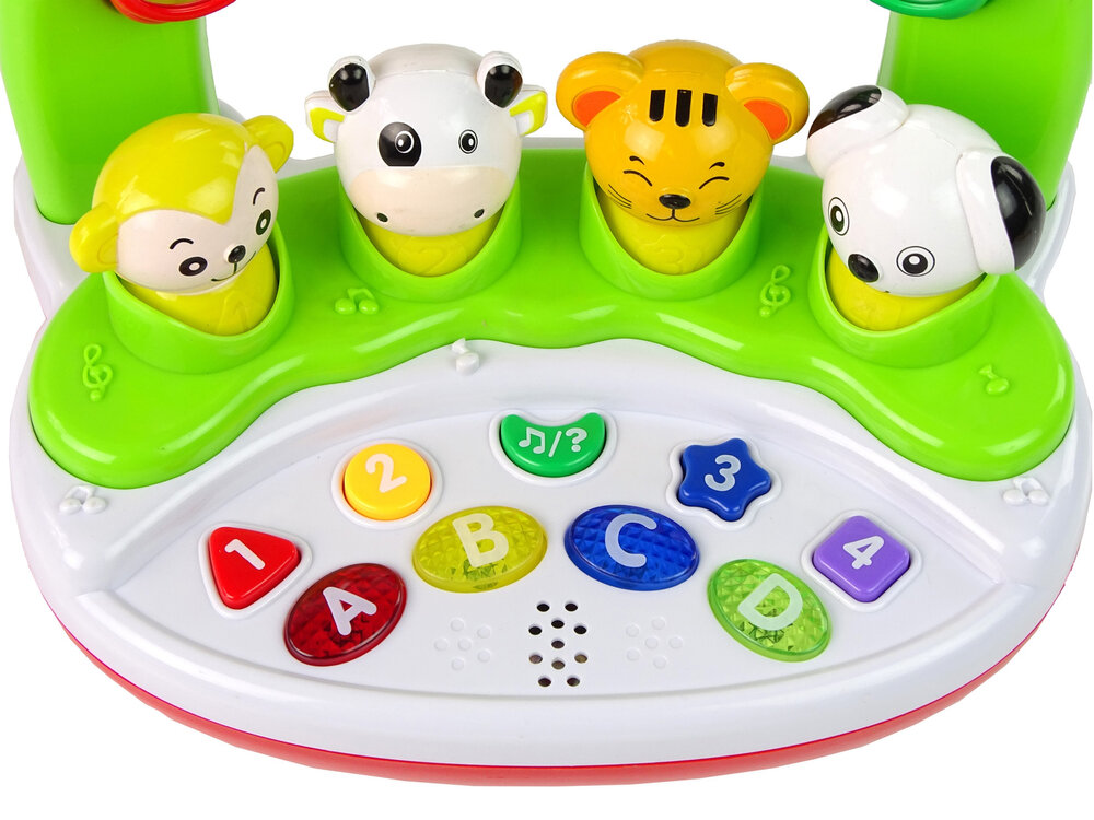 Interaktyvus muzikinis žaislas - Gyvūnai kaina ir informacija | Lavinamieji žaislai | pigu.lt