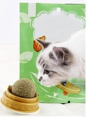 Игрушка для облизывания - мячик для кота с кошачьей мятой цена и информация | Игрушки для кошек | pigu.lt