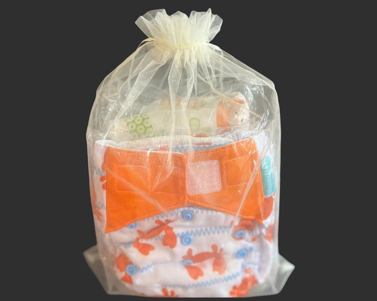 Daugkartinio naudojimo sauskelnių ir neperšlampamas krepšys Baby Planet, 0-36 mėn. kaina ir informacija | Sauskelnės | pigu.lt