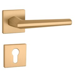 Durų rankenų komplektas Aprile Jasmina Q7S su PZ apyrakčiais kaina ir informacija | Durų rankenos | pigu.lt