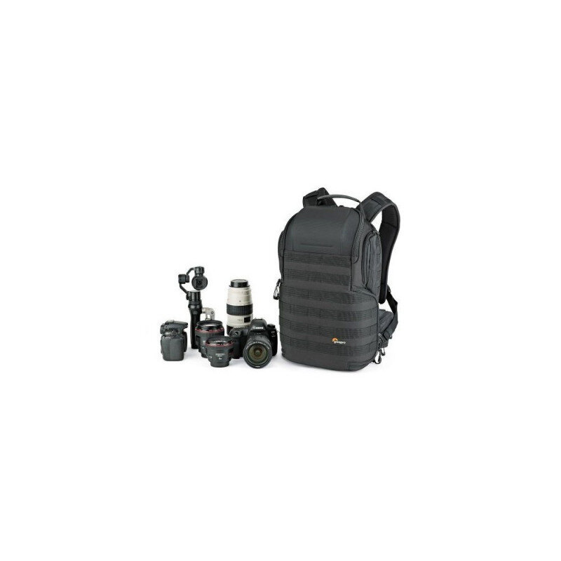 Lowepro ProTactic BP 350 AW II kaina ir informacija | Dėklai, krepšiai fotoaparatams ir objektyvams | pigu.lt