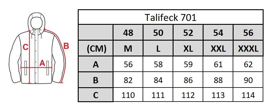 Vyriška striukė Talifeck, 701 kaina ir informacija | Vyriškos striukės | pigu.lt