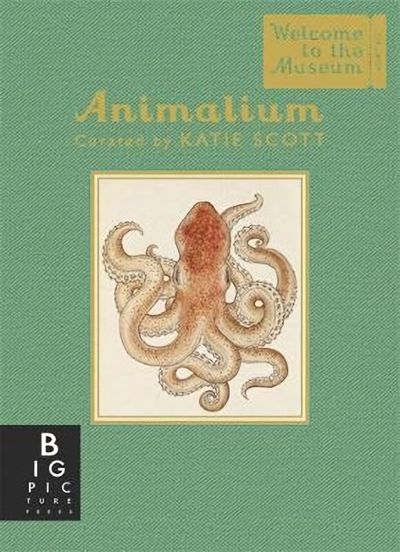 Animalium Mini Gift Edition цена и информация | Enciklopedijos ir žinynai | pigu.lt