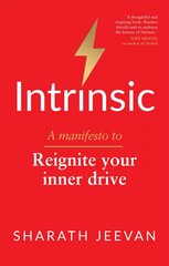 Intrinsic: A manifesto to reignite your inner drive цена и информация | Самоучители | pigu.lt