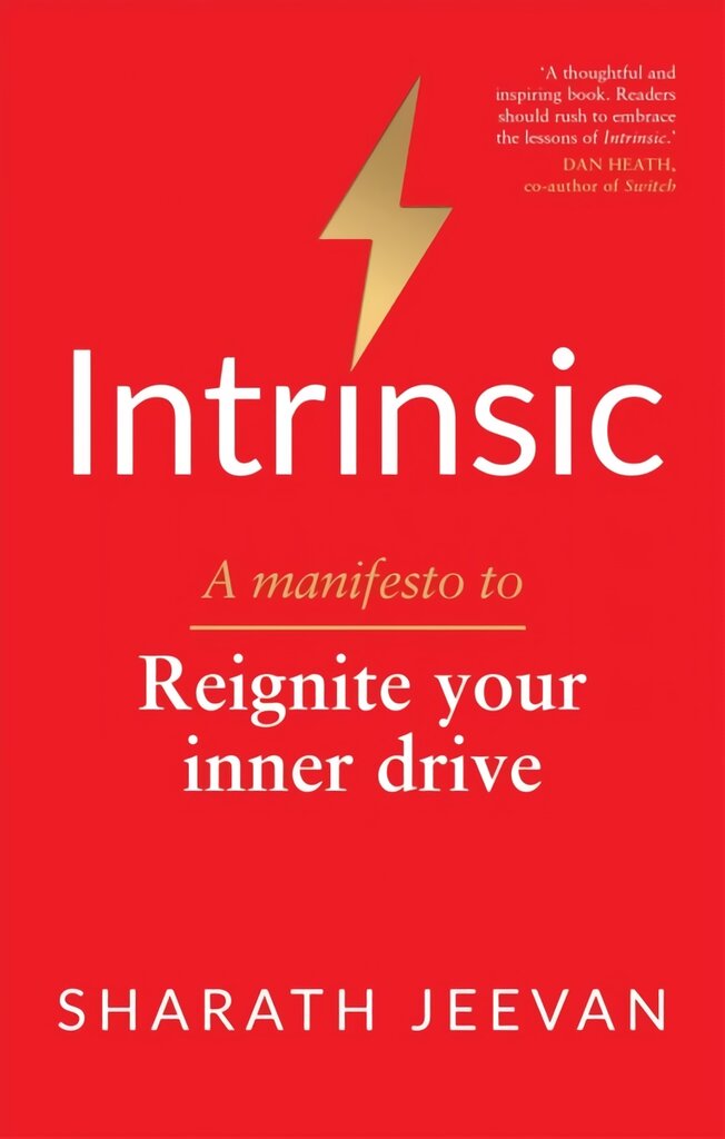 Intrinsic: A manifesto to reignite your inner drive kaina ir informacija | Saviugdos knygos | pigu.lt