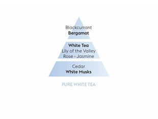 Namų kvapo papildymas Maison Berger Pure White Tea, 500 ml kaina ir informacija | Namų kvapai | pigu.lt