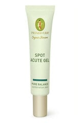 Gelis nuo spuogų Primavera Spot Acute Gel, 10 ml kaina ir informacija | Veido kremai | pigu.lt