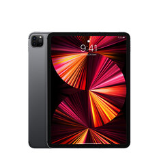 iPad Pro 11" 2.gen 512GB WiFi + Cellular Space Gray (atnaujinta, būklė A) kaina ir informacija | Planšetiniai kompiuteriai | pigu.lt