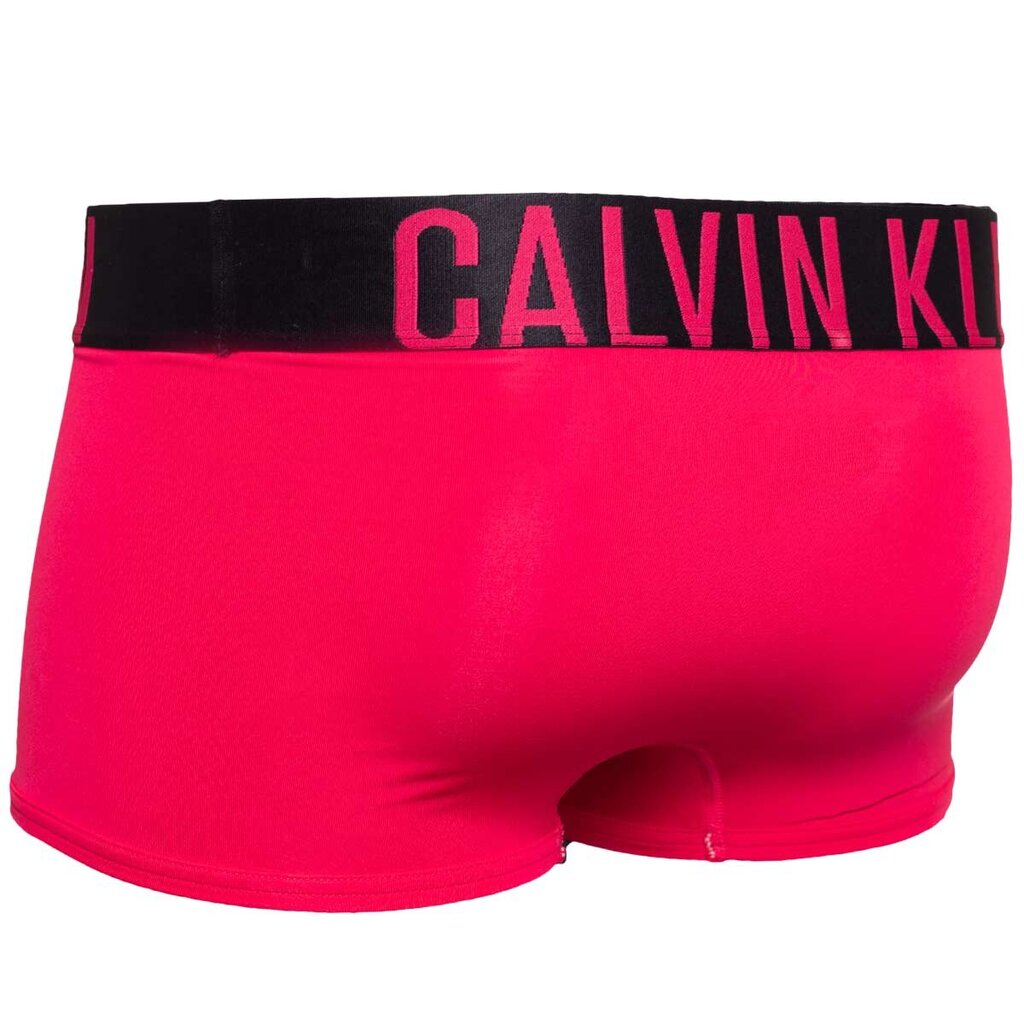 Trumpikės vyrams Calvin Klein 50154, juodi kaina ir informacija | Trumpikės | pigu.lt